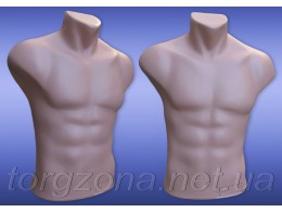 Торс чоловічий ''Рома '' 