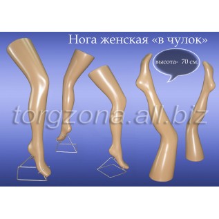 Нога жіноча у панчоху